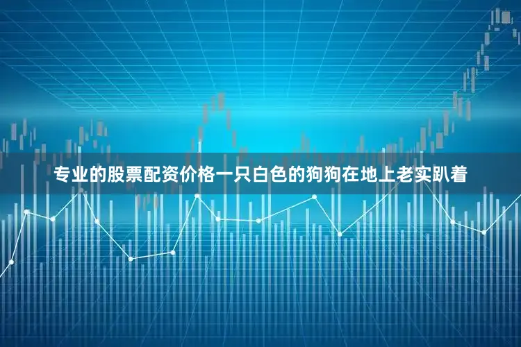 专业的股票配资价格一只白色的狗狗在地上老实趴着