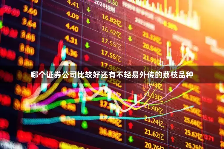 哪个证券公司比较好还有不轻易外传的荔枝品种