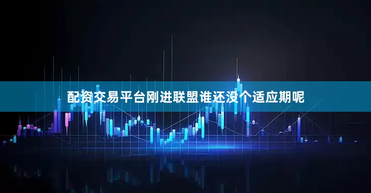 配资交易平台刚进联盟谁还没个适应期呢